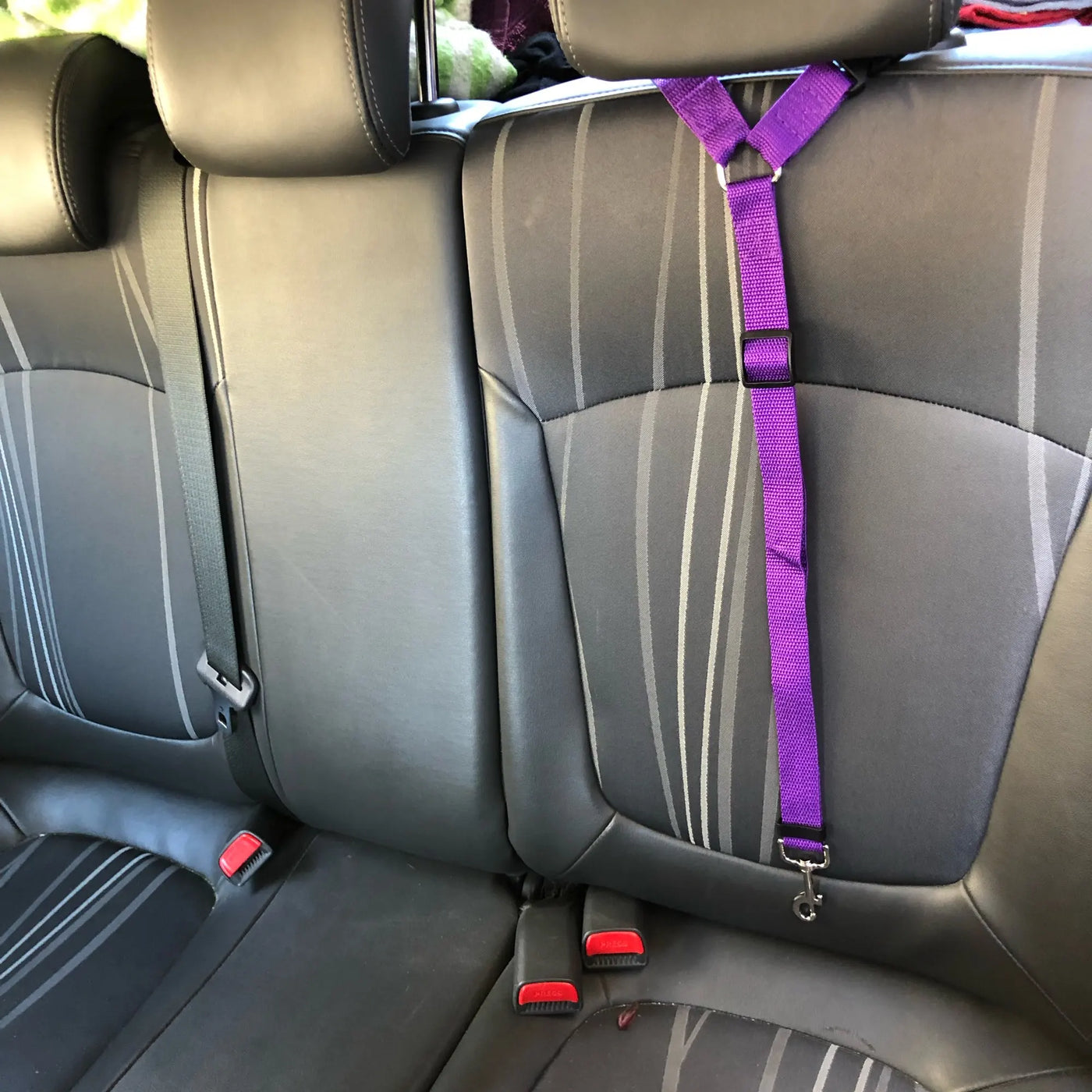 Solid Color Two-in-one Pet Car Seat Belt Nylon Lead