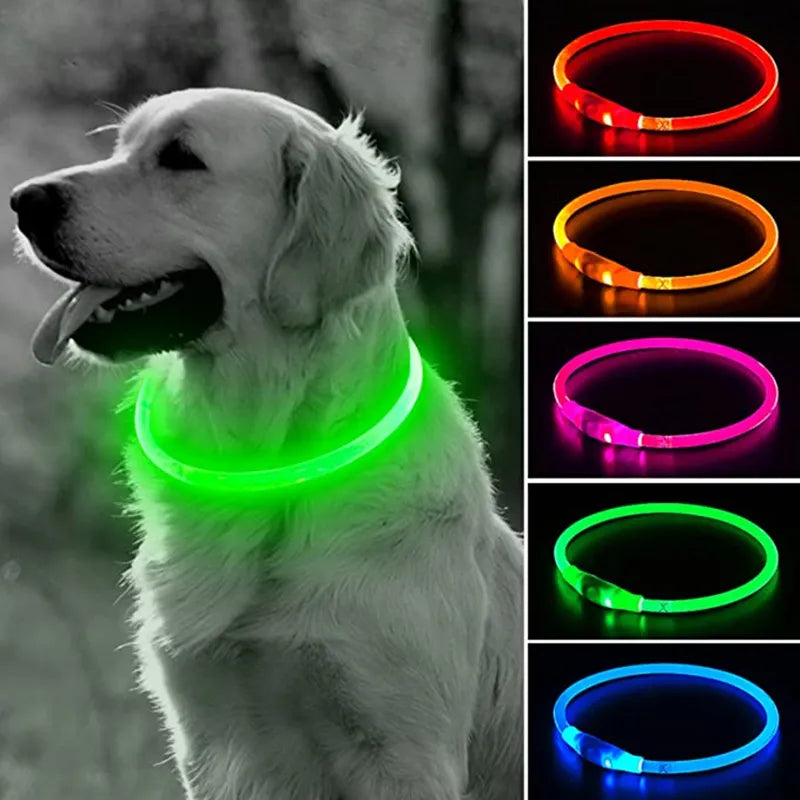 Led Dog Collar Luminous Usb Cat Dog Collar 3 Modes