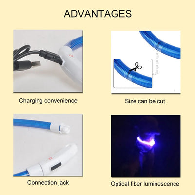 Led Dog Collar Luminous Usb Cat Dog Collar 3 Modes