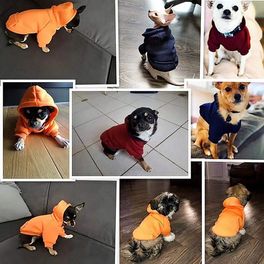 Puppy Pet Hooded Sweatshirt Autumn Winter