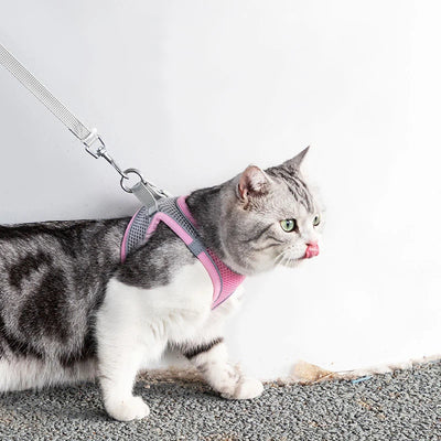 Cat Harness Leash Set Adjustable Dog Cat Collar for French