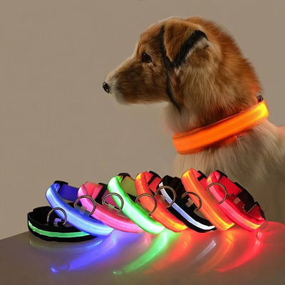 Nylon LED Night Safety Flashing Glow In The Dark Dog Leash