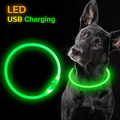 Led Dog Collar Luminous Usb Cat Dog Collar 3 Modes