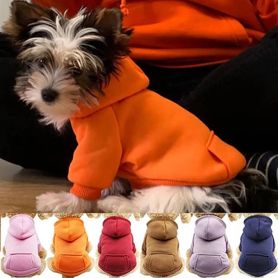 Puppy Pet Hooded Sweatshirt Autumn Winter