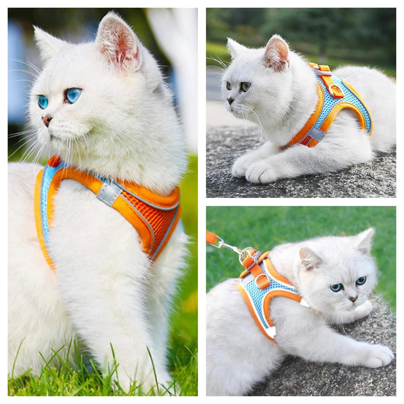 Cat Harness Reflective Pet Harnesses And Leashes Set