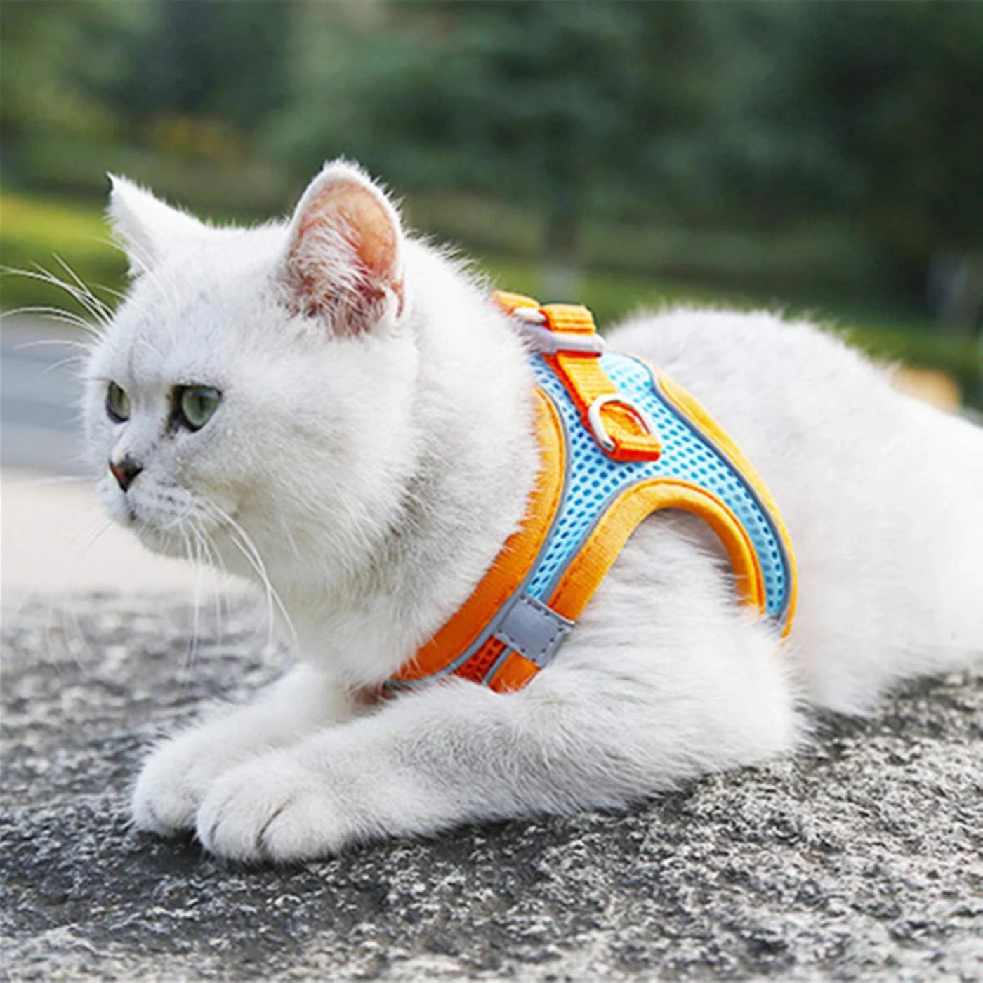 Cat Harness Reflective Pet Harnesses And Leashes Set