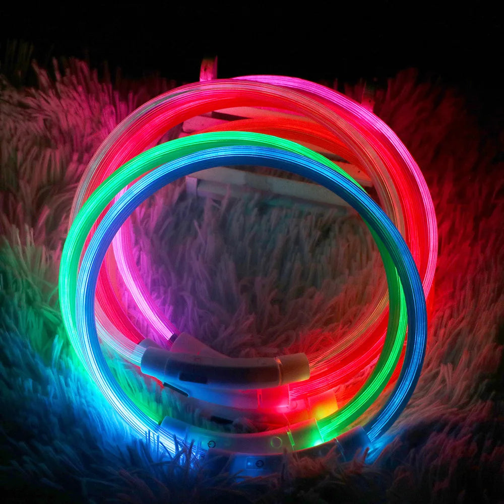 Led Dog Collar Luminous Usb Cat Dog Collar 3 Modes